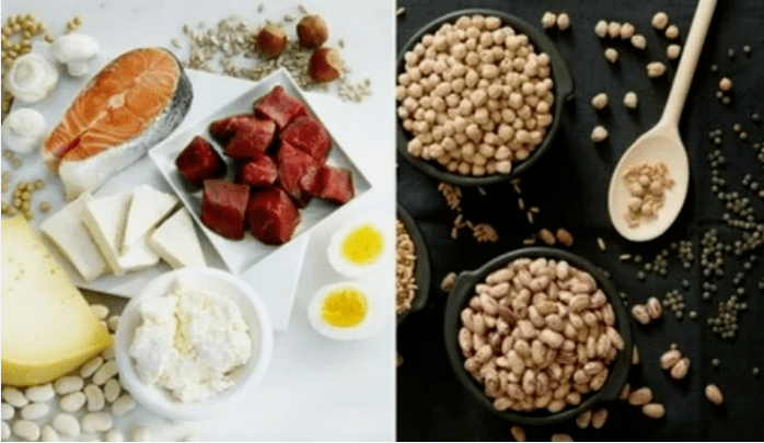Ejemplos de productos dietéticos de proteínas