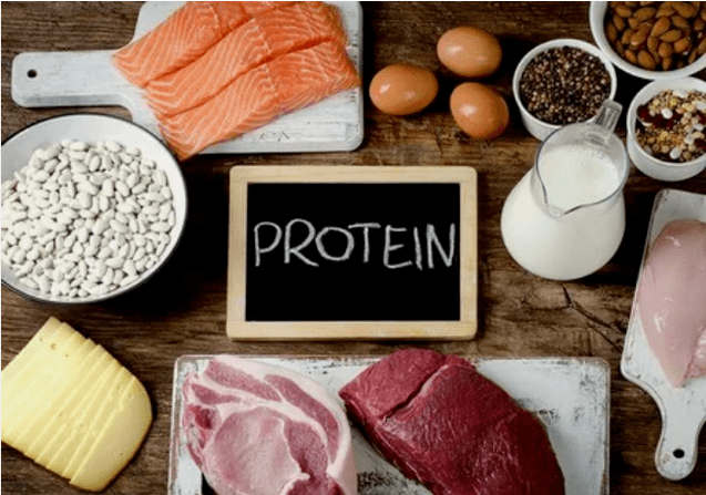 Productos dietéticos de proteínas